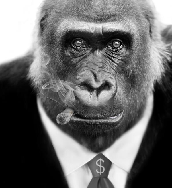 Investment Banking Career Paths